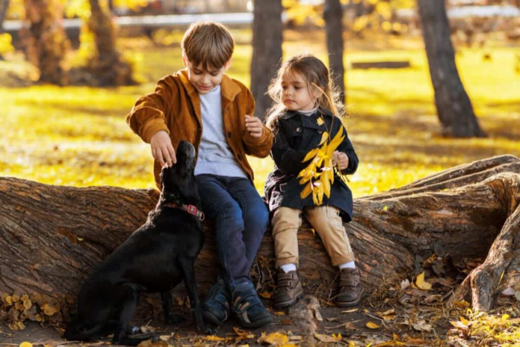 benefici psicologici cane bambini psicologo roma prati