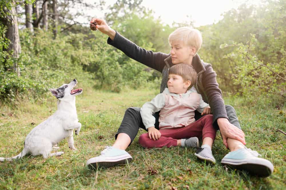 cane giochi benessere psicologico famiglia psicoterapeuta roma prati